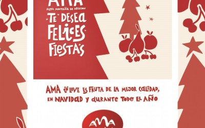 FELICES FIESTAS AMA IN LOVE